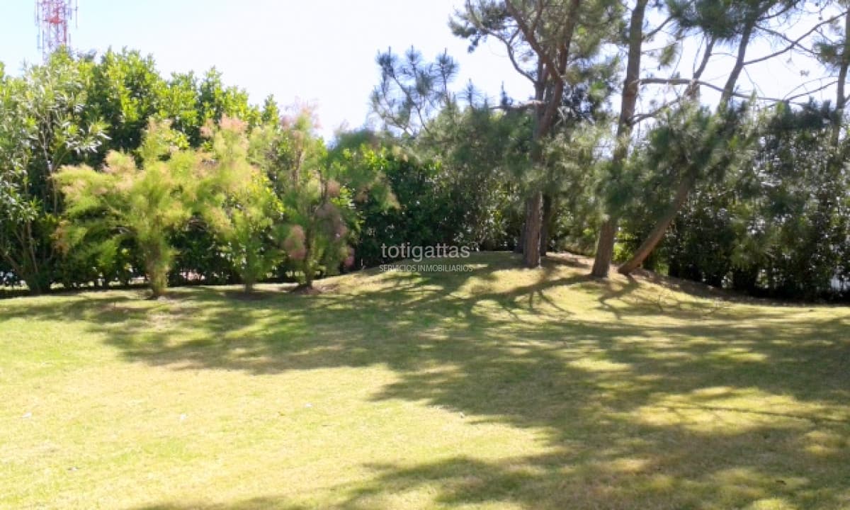 Loma Alta
