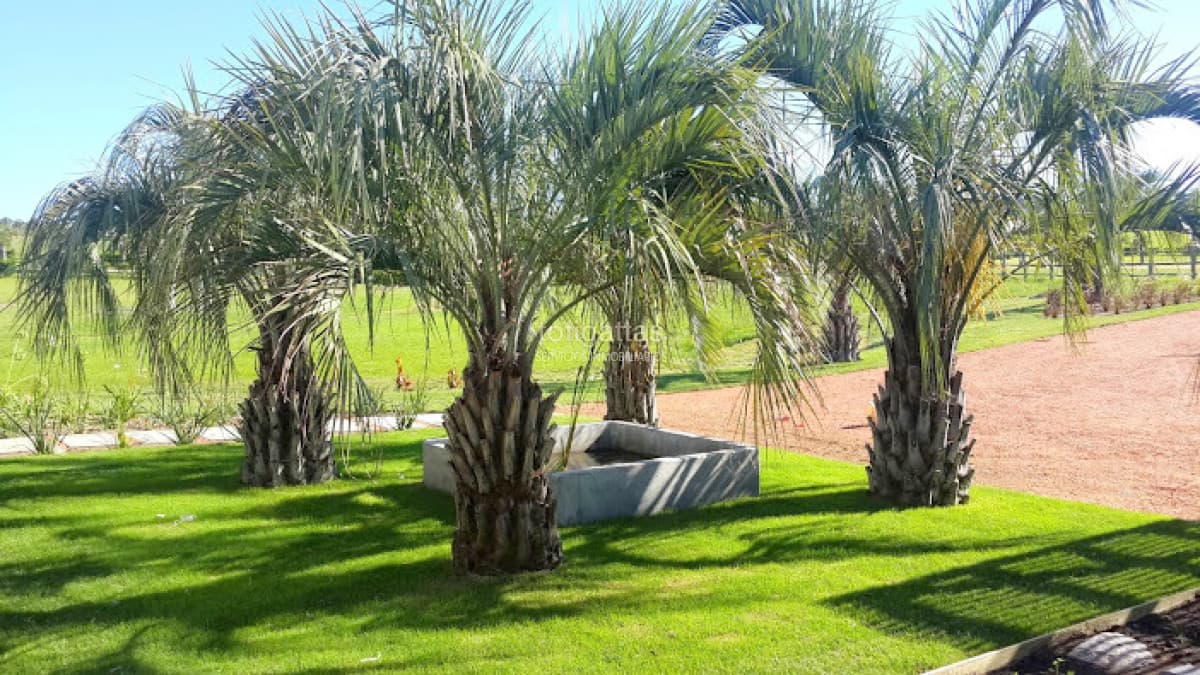 Chacra Laguna Estate G