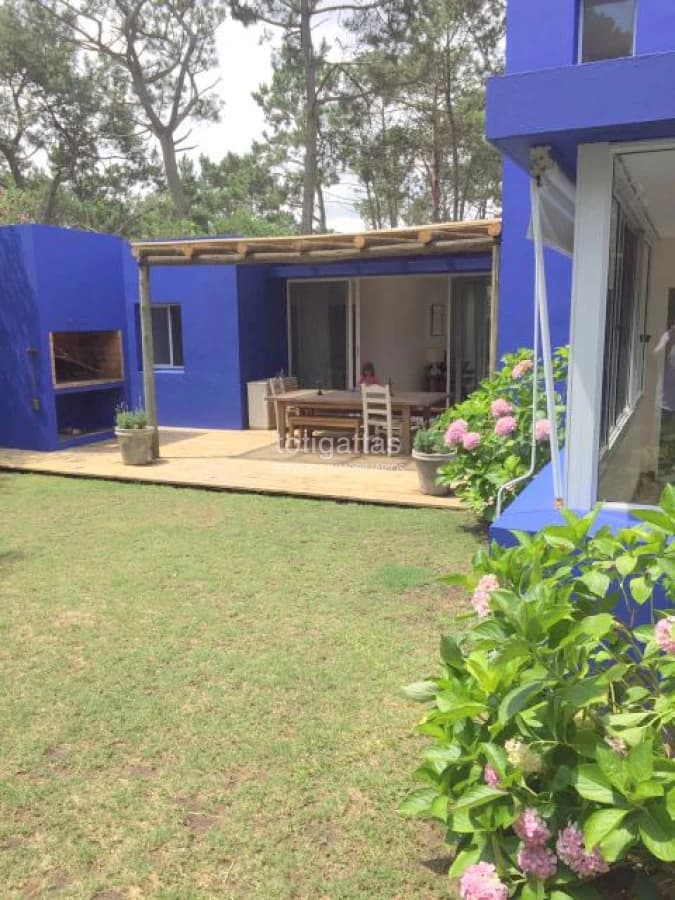 Casa Azul y Piedra