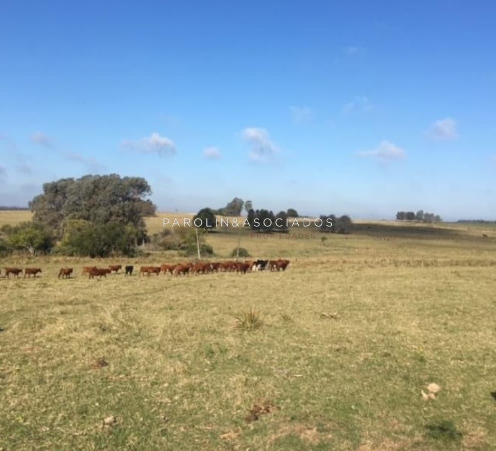 CHACRA 5 HECTAREAS, JOSÉ IGNACIO, PUNTA DEL ESTE
