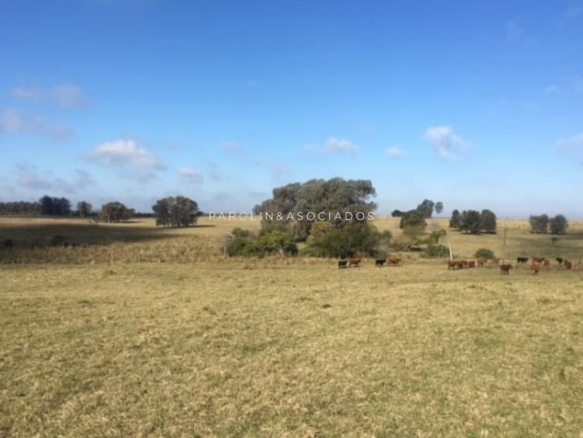 CHACRA 5 HECTAREAS, JOSÉ IGNACIO, PUNTA DEL ESTE
