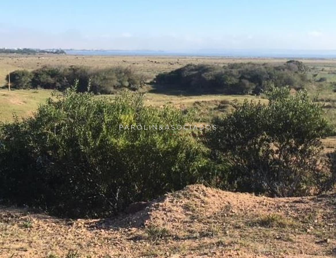 Hermosa chacra en venta en José Ignacio, Punta del Este.