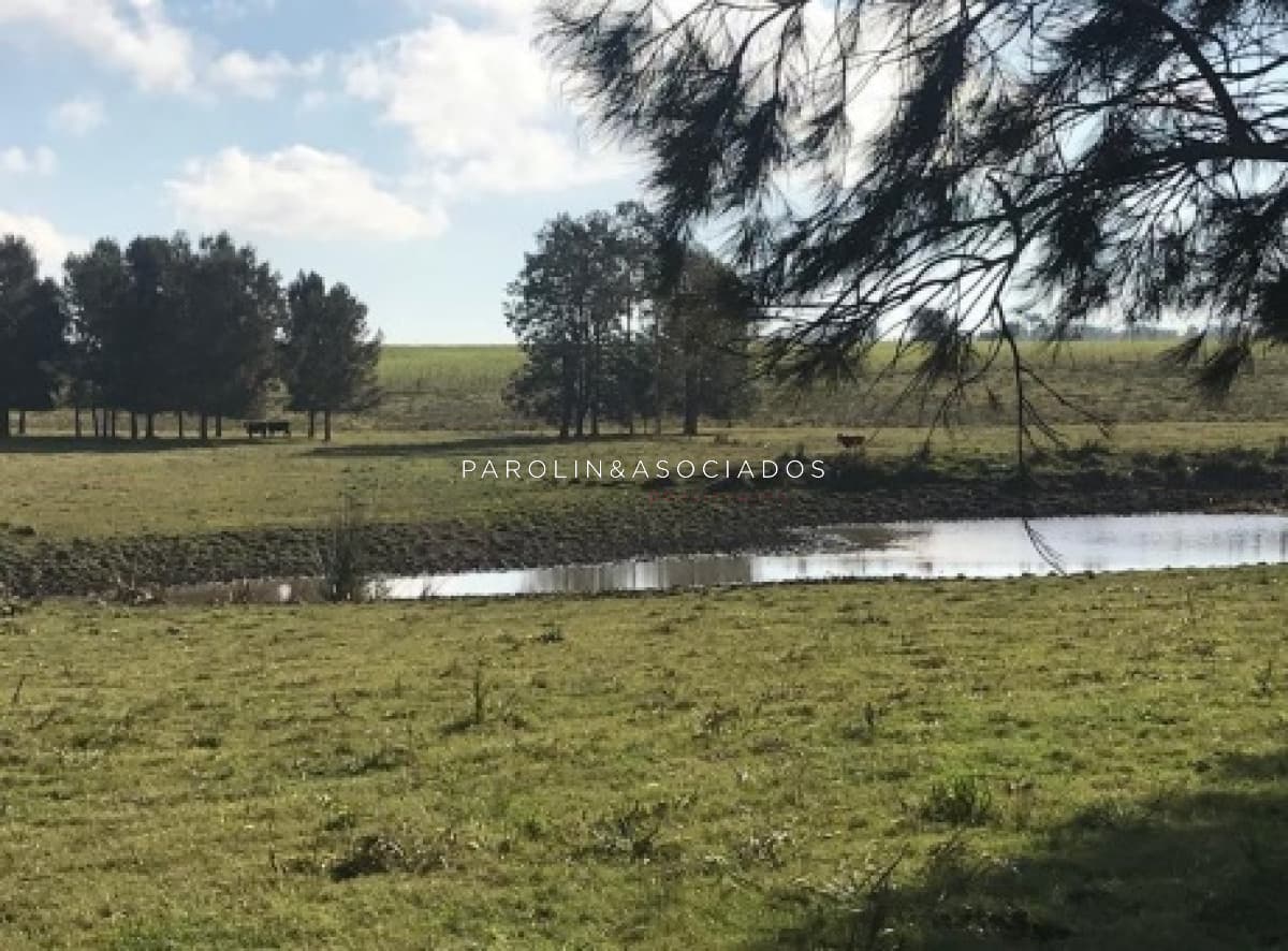 CHACRA 5 HECTAREAS EN HARAS DE MEDELLIN, PUNTA DEL ESTE