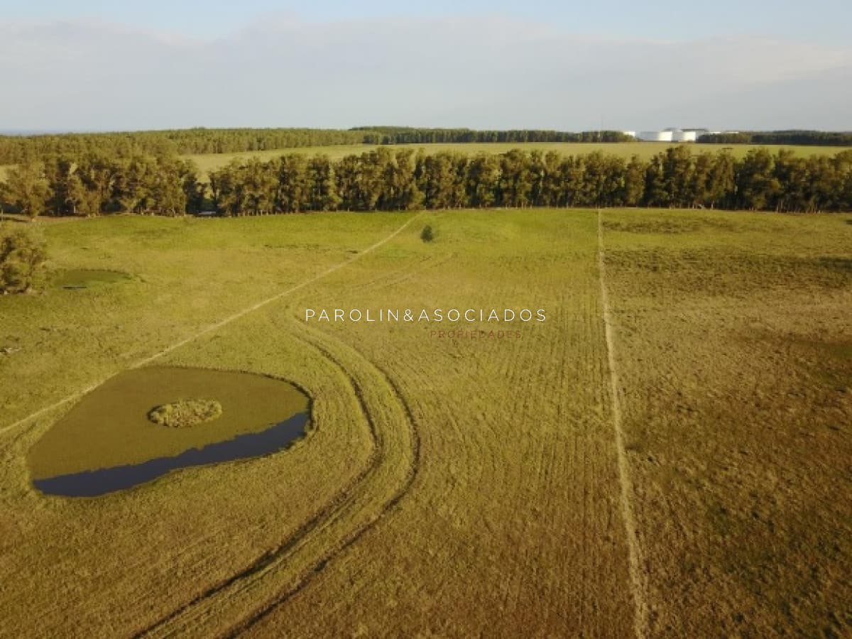 CHACRA 5 HECTAREAS, JOSÉ IGNACIO, PUNTA DEL ESTE
