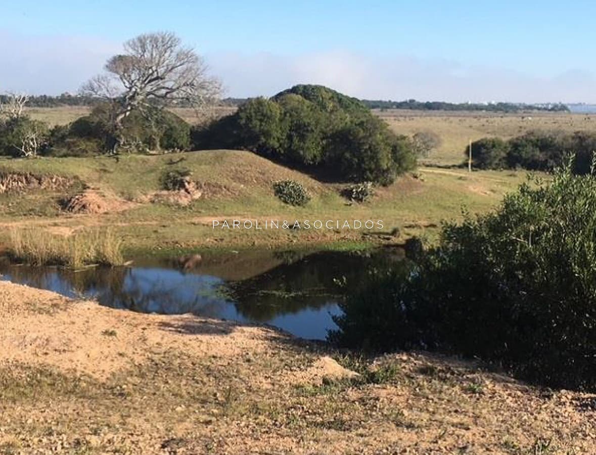 Hermosa chacra en venta en José Ignacio, Punta del Este.