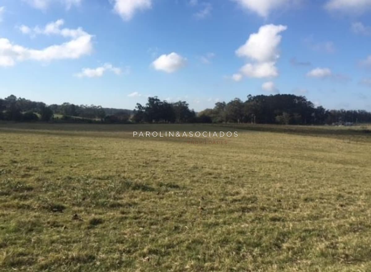 CHACRA 5 HECTAREAS, JOSÉ IGNACIO, PUNTA DEL ESTE