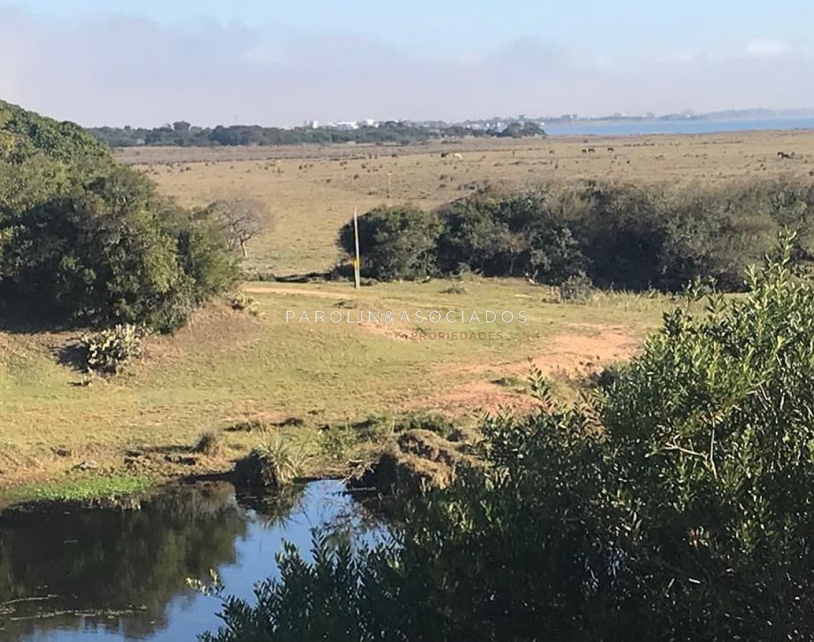 Hermosa chacra en venta en José Ignacio, Punta del Este.