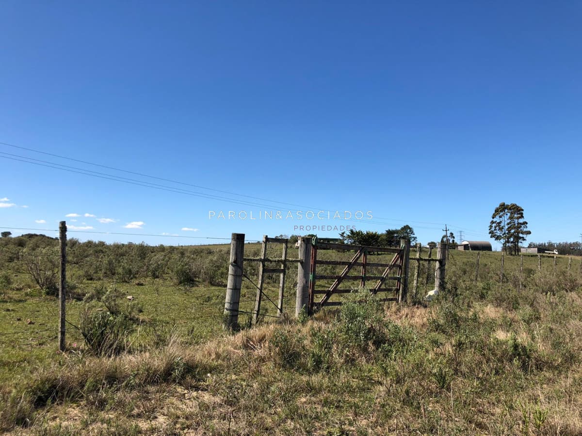 Campo en venta excelente lugar