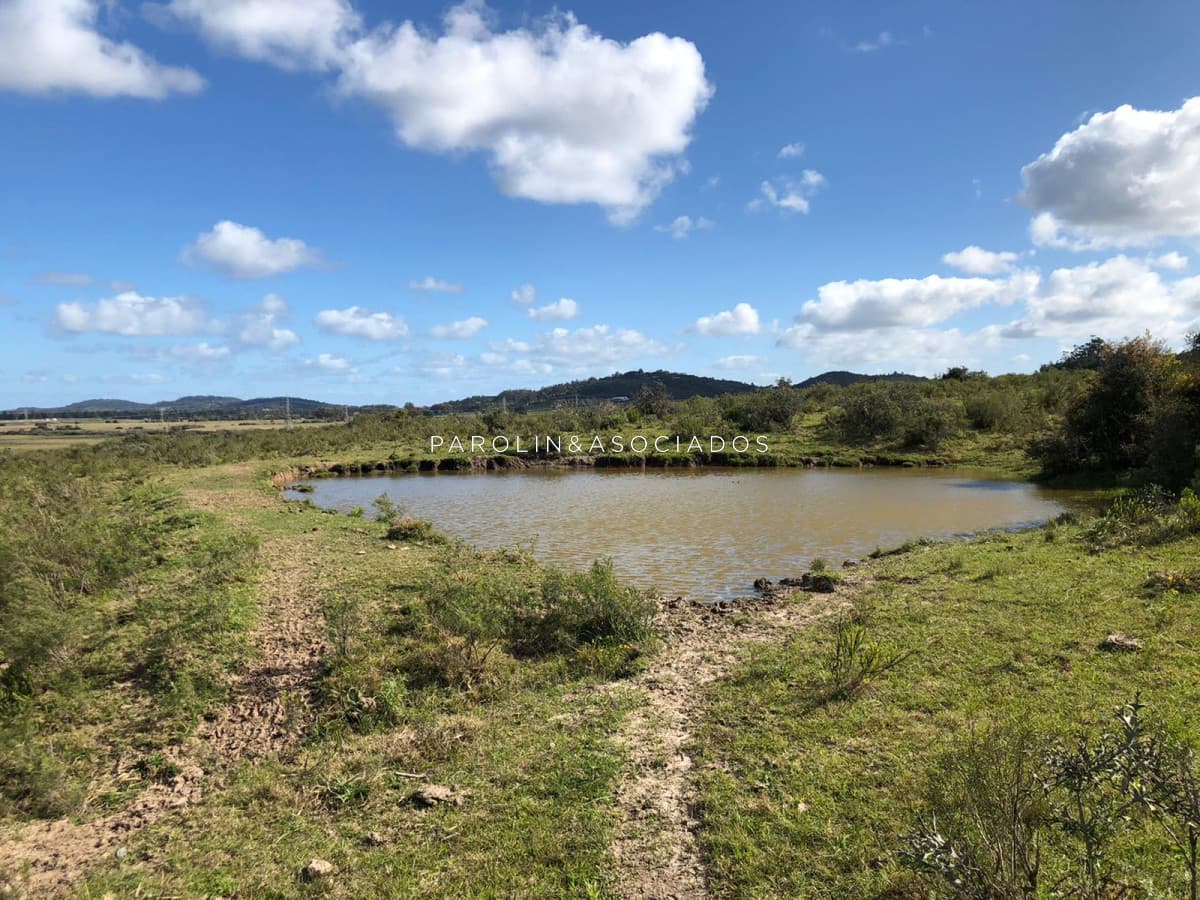 Campo en venta excelente lugar