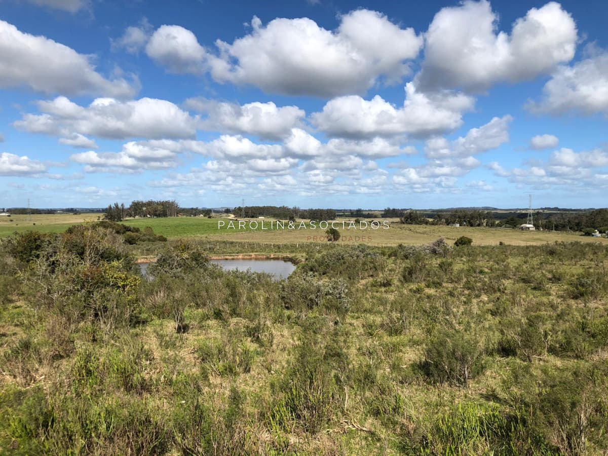 Campo en venta excelente lugar
