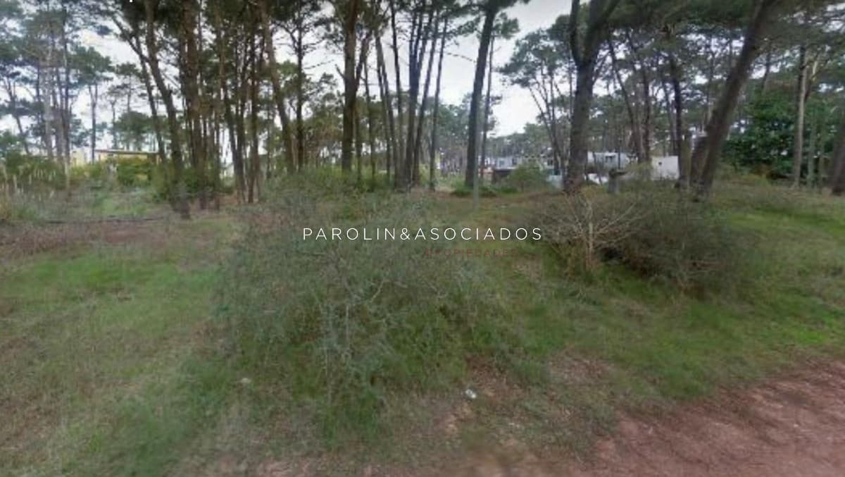TERRENO EN VENTA EN MONTOYA , LA BARRA