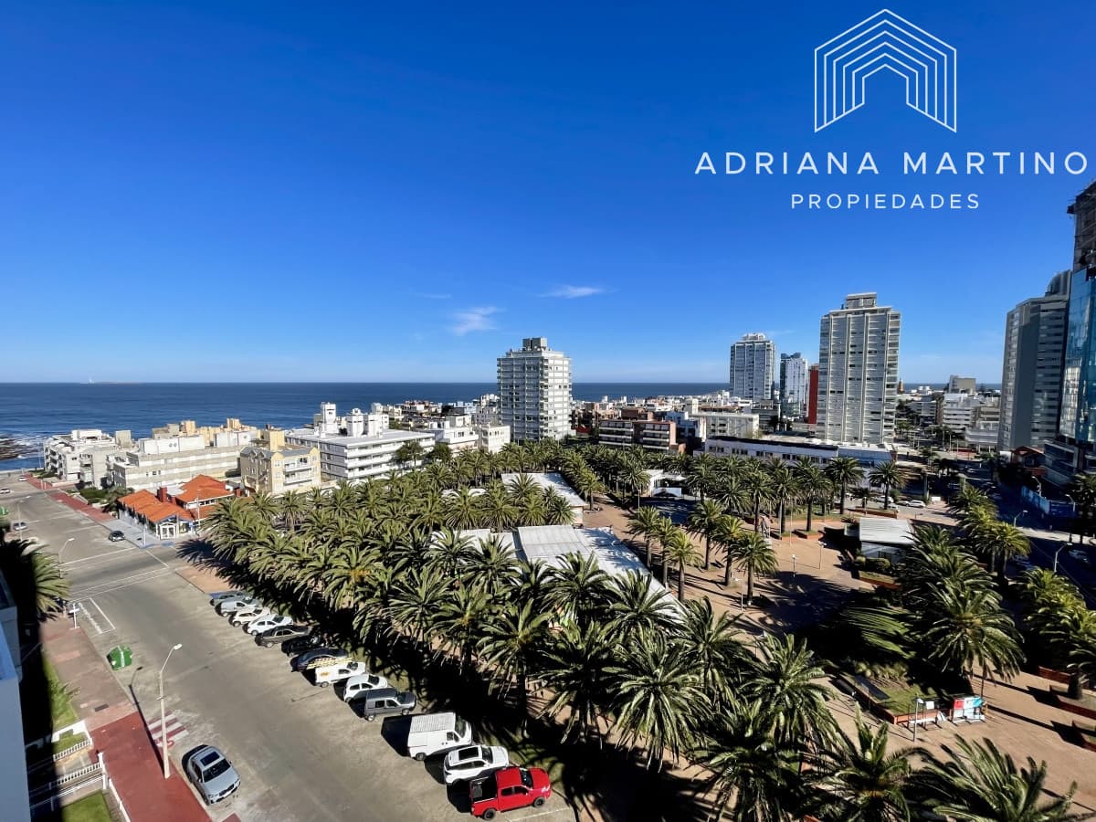 Vista al puerto y al faro