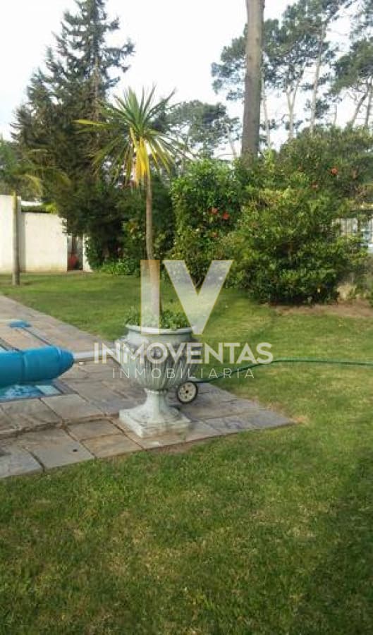 Casa en Alquiler en Punta del este!