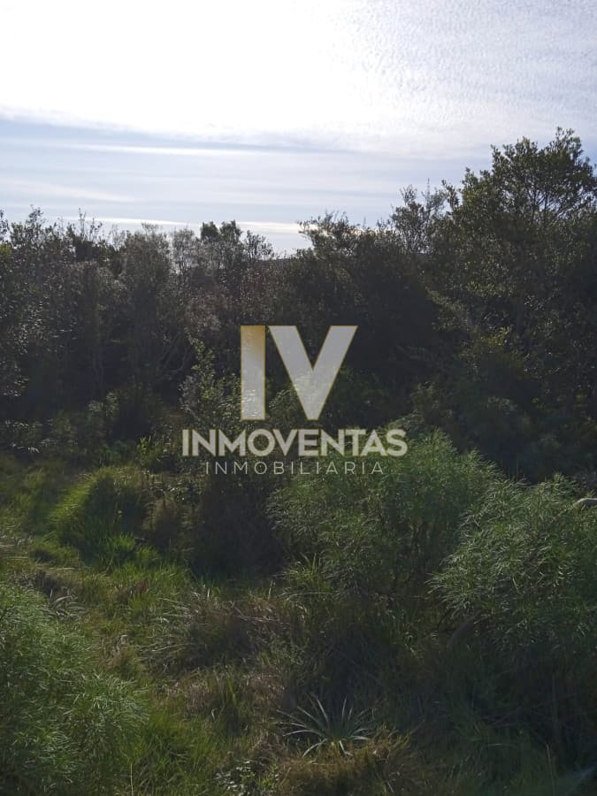 Oportunidad! Chacra de 5 hec. en Venta en proyecto Las Valdivias