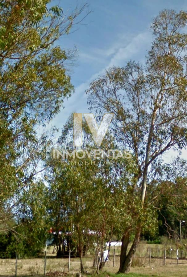 Ruta 104 zona ideal para vivir todo el año