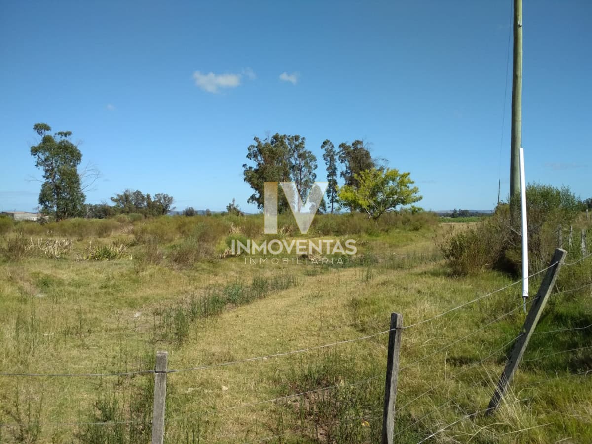 Ruta 104 zona ideal para vivir todo el año