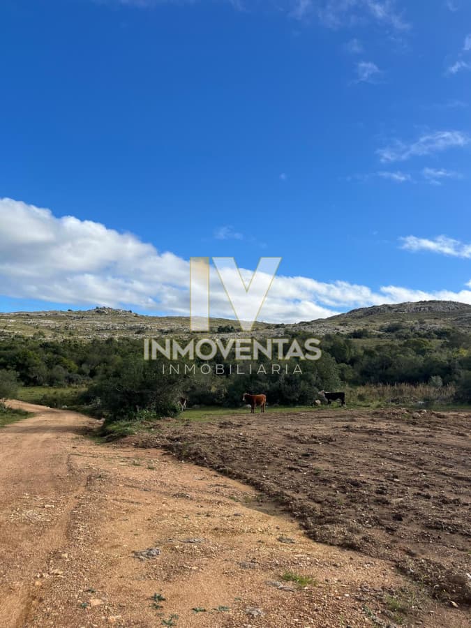 Chacra en Ruta 39 entre Aiguá y San Carlos