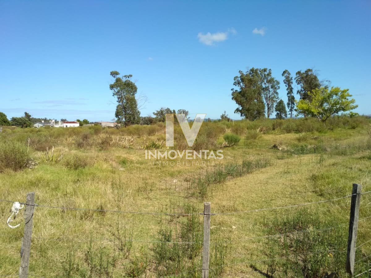 Ruta 104 zona ideal para vivir todo el año
