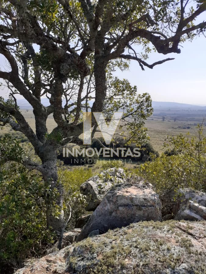 Chacra en Ruta 39 entre Aiguá y San Carlos