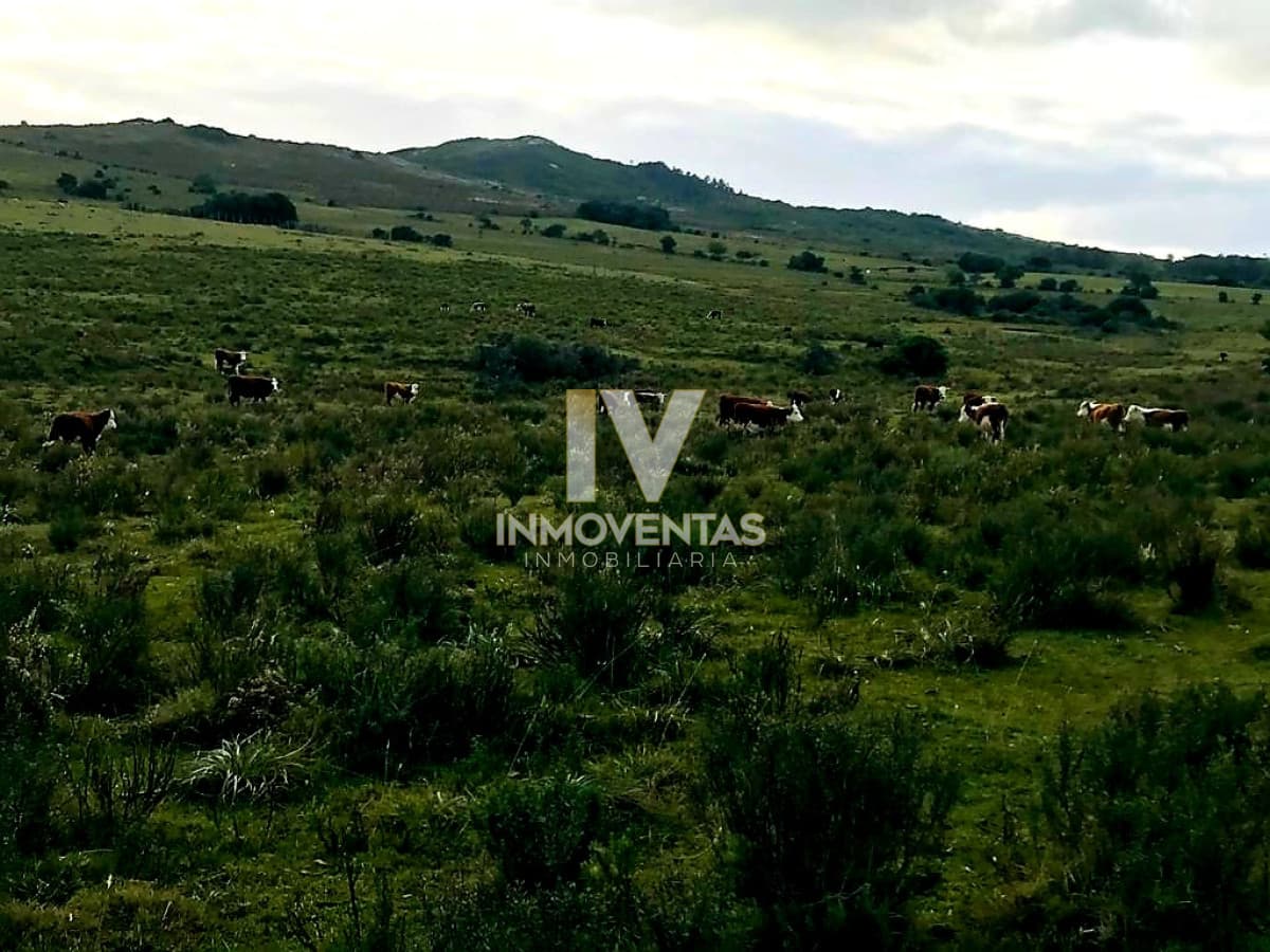 Campo en Zona Pan de Azúcar
