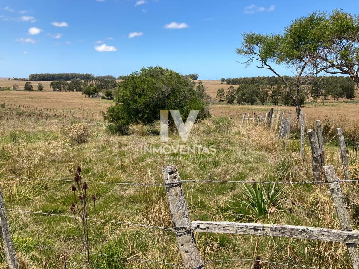 Campo con potencial