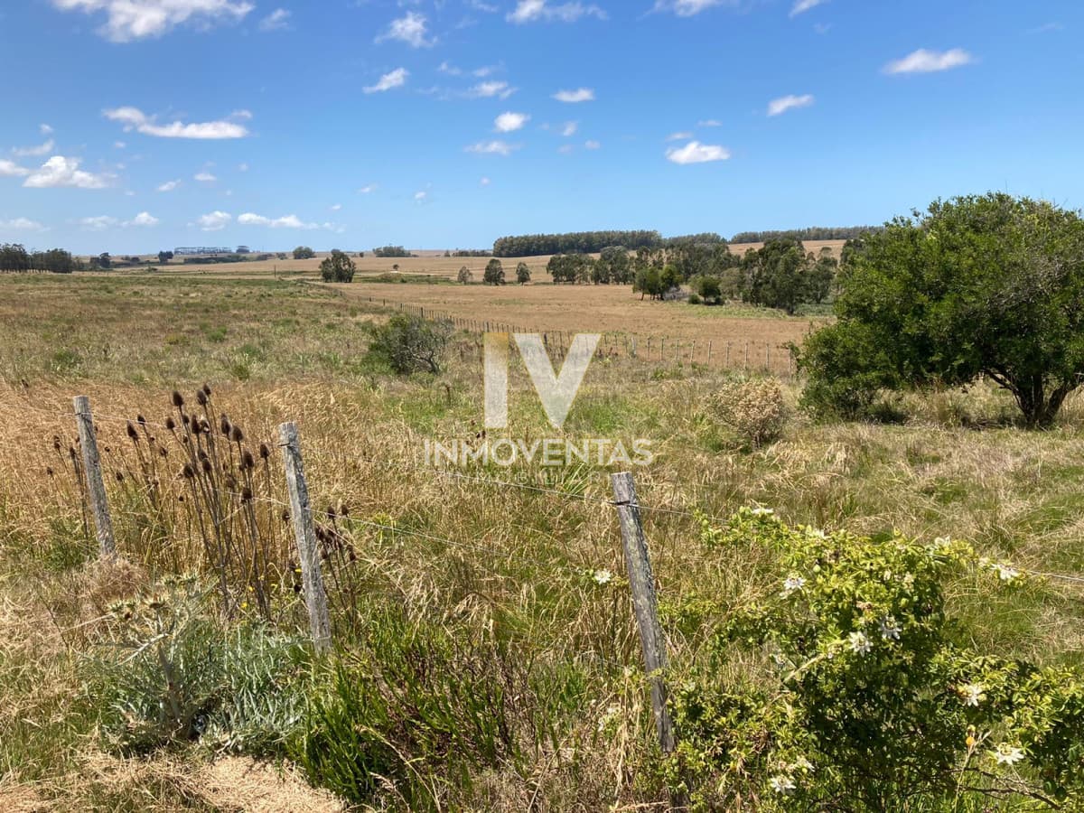 Campo con potencial