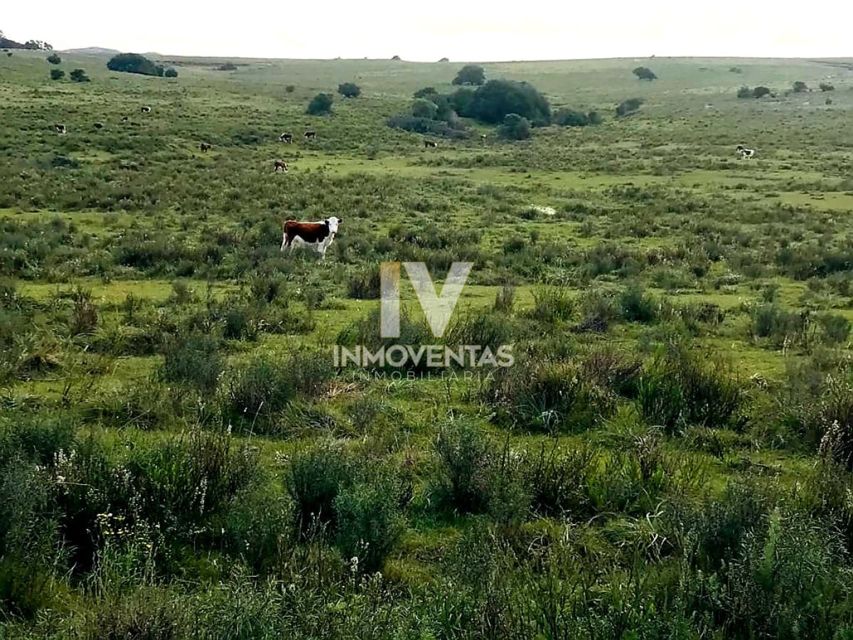 Campo en Zona Pan de Azúcar