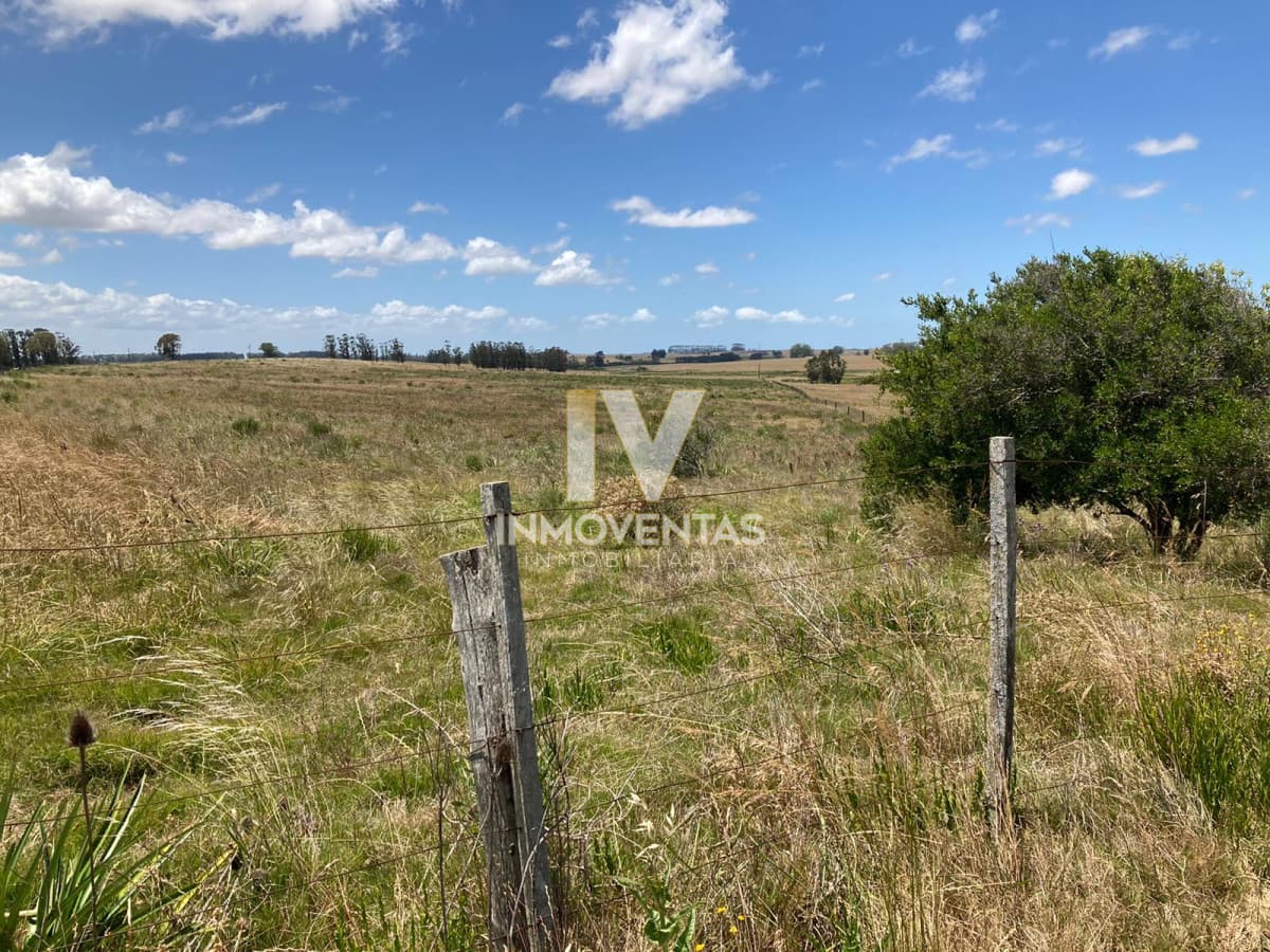 Campo con potencial
