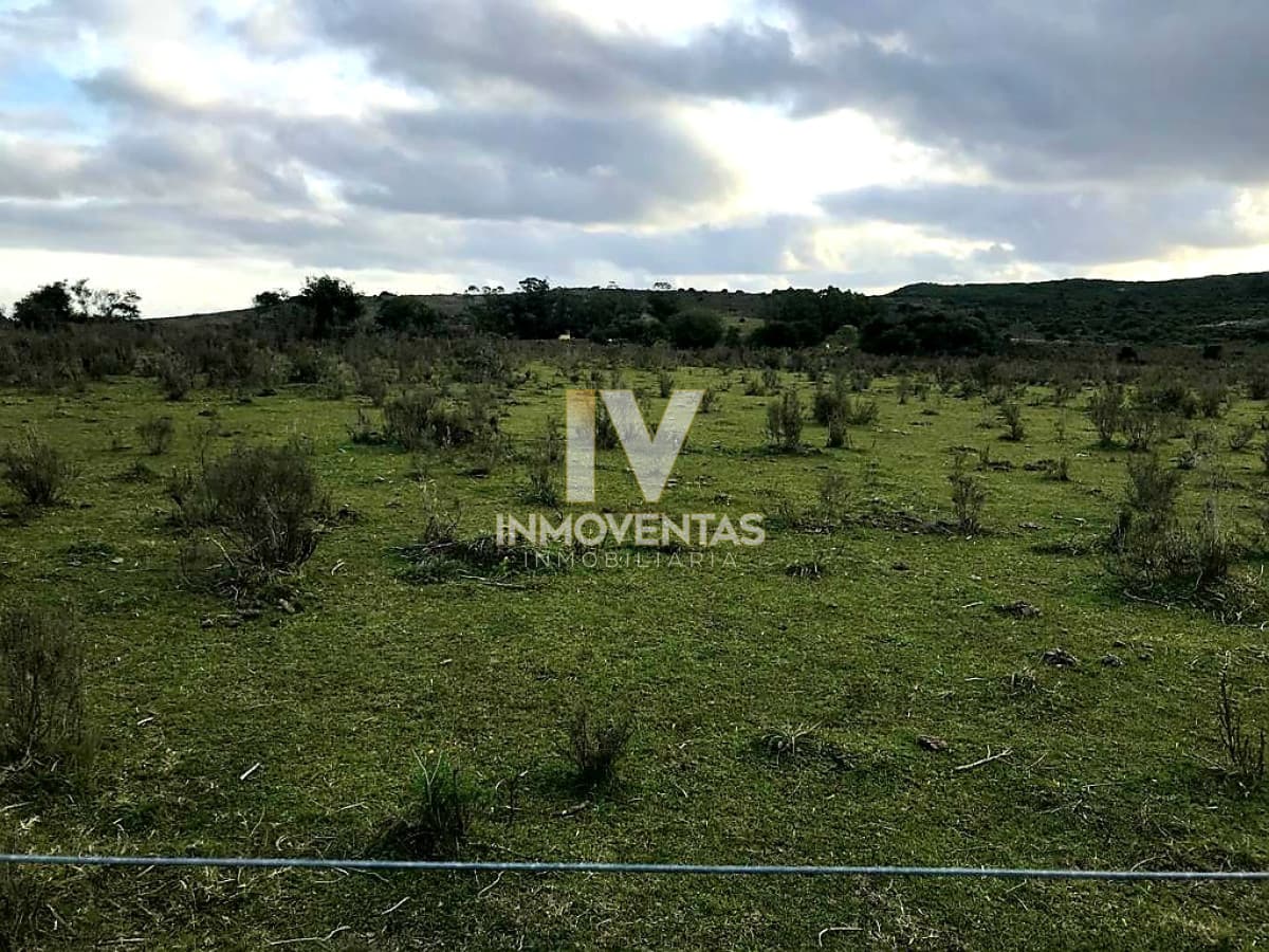 Campo en Zona Pan de Azúcar