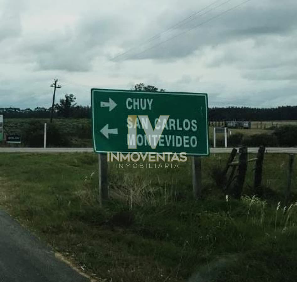 Campo a pocos metros de Ruta Nacional número 9