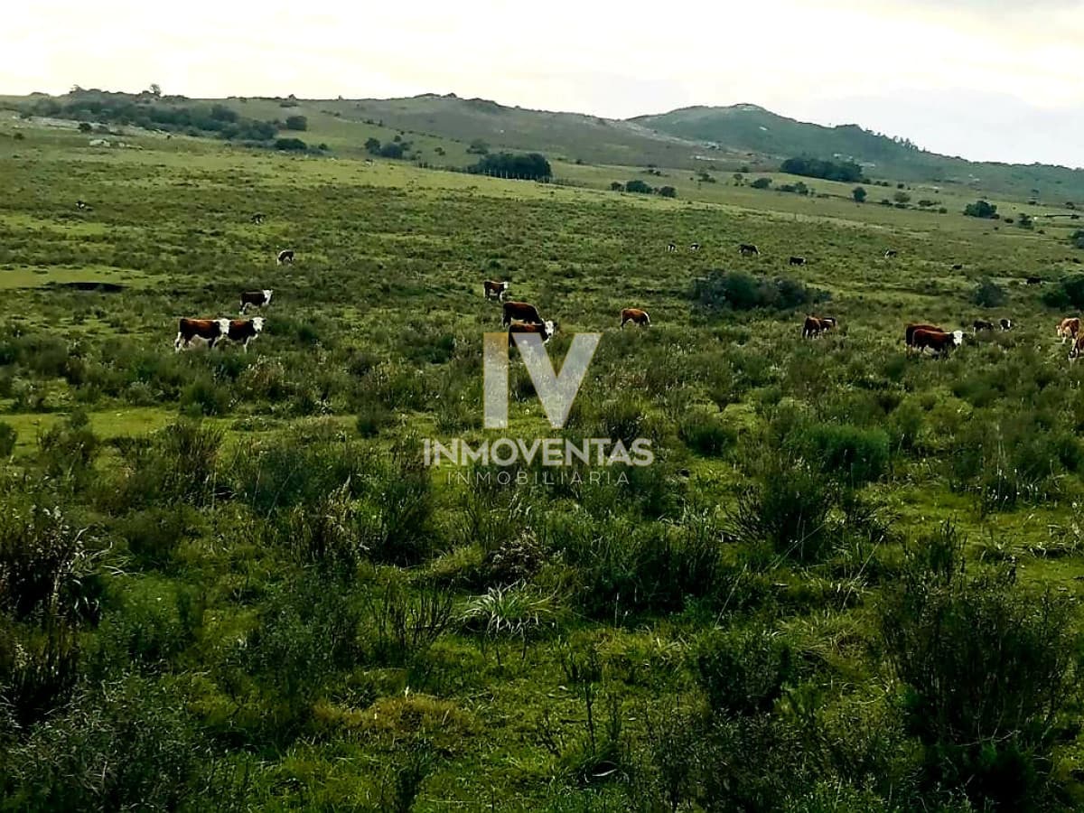 Campo en Zona Pan de Azúcar