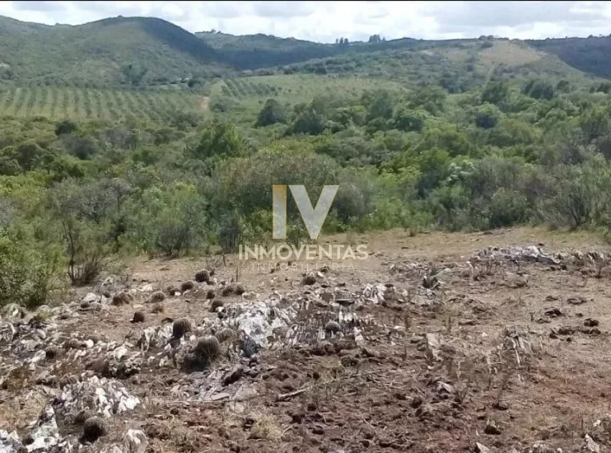 Campo en Maldonado,