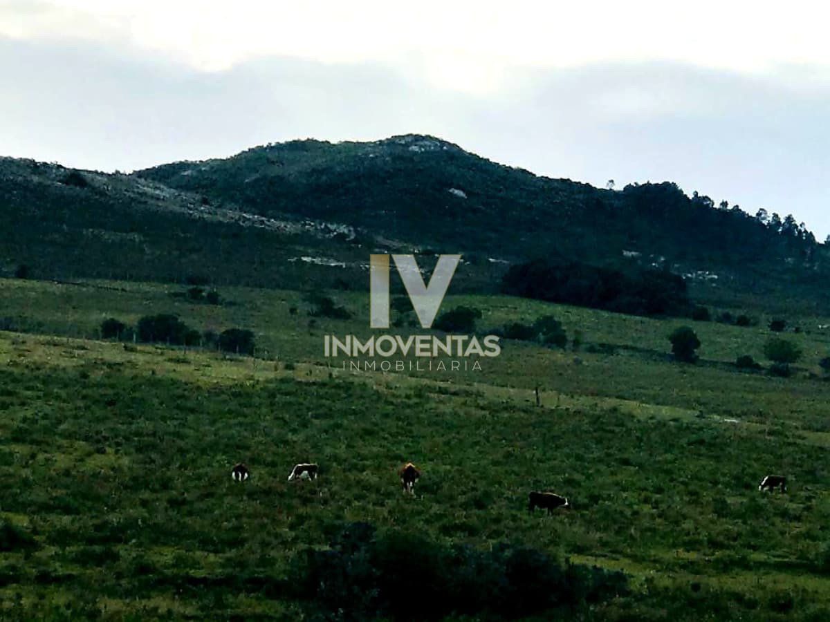 Campo en Zona Pan de Azúcar