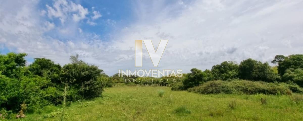 Campo a pocos metros de Ruta Nacional número 9