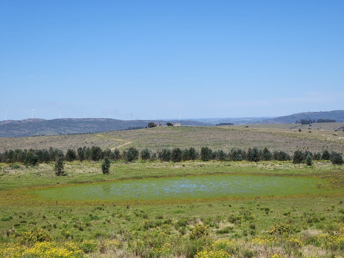 Resultados para "Campo Rincón del Indio" | Punta del Este Inmobiliaria