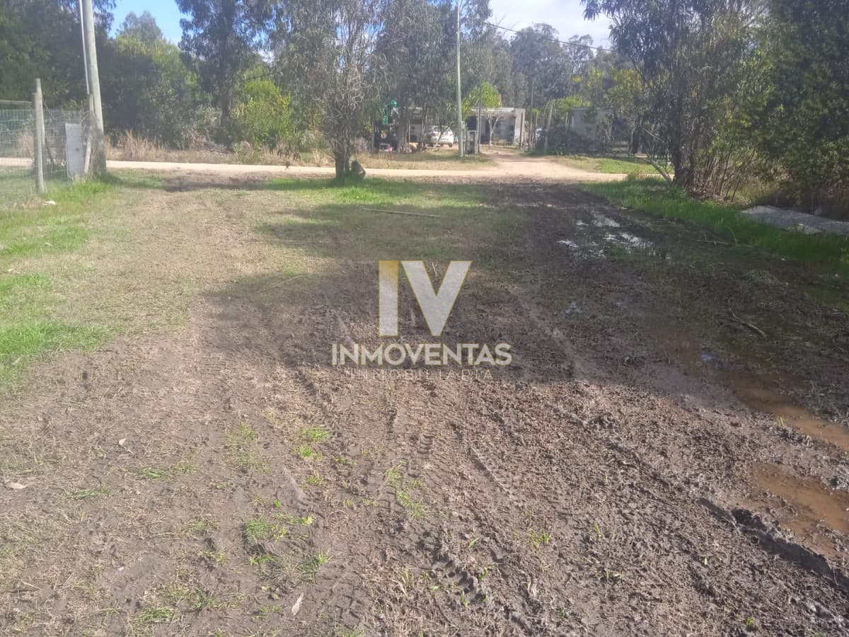 Terreno Santa Mónica
