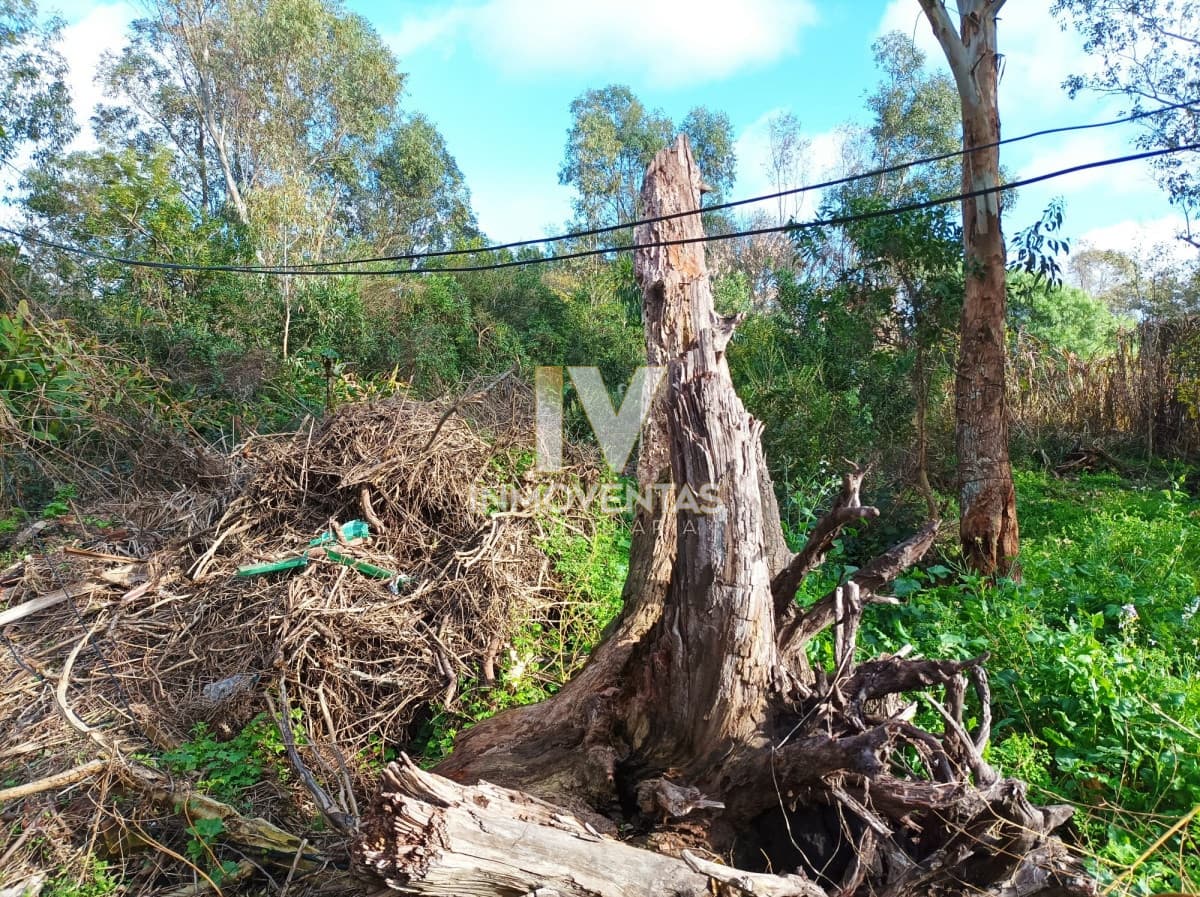 Terreno en la Barra
