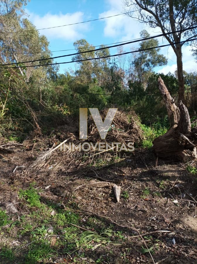 Terreno en la Barra