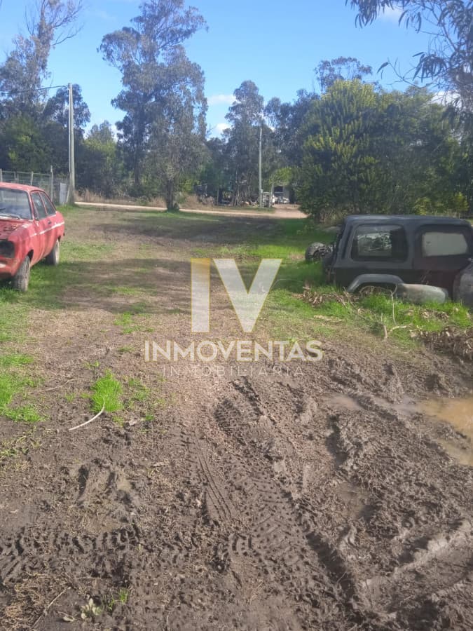 Terreno Santa Mónica