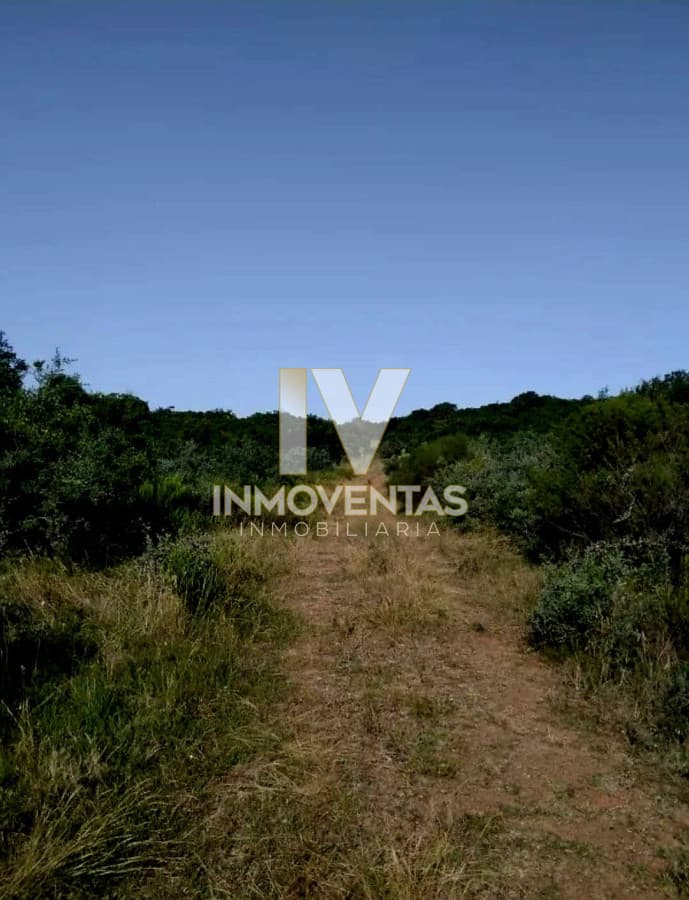 El Bonete. Venta