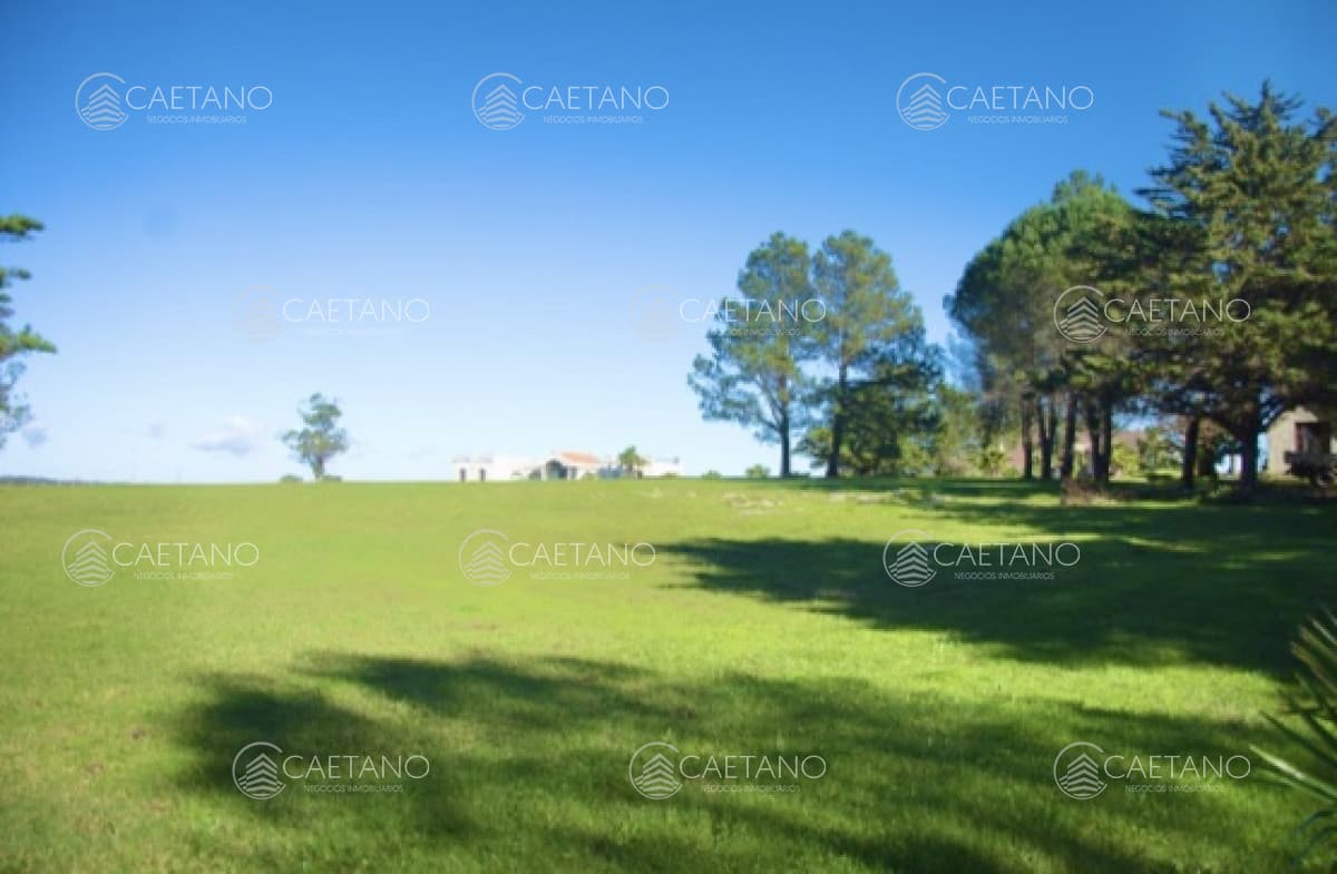 Chacra importante en R. 39 con 700 m2. construidos