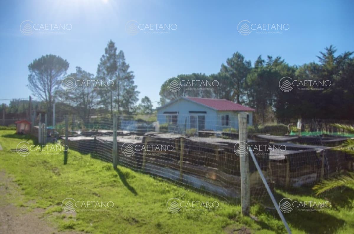 Chacra importante en R. 39 con 700 m2. construidos
