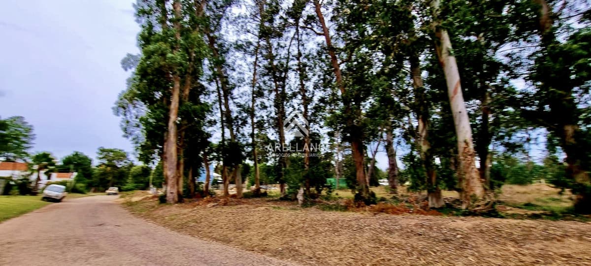 Terreno ID.3181 - Terreno en zona de Colegios 1600 m2 - Marly - Punta del Este