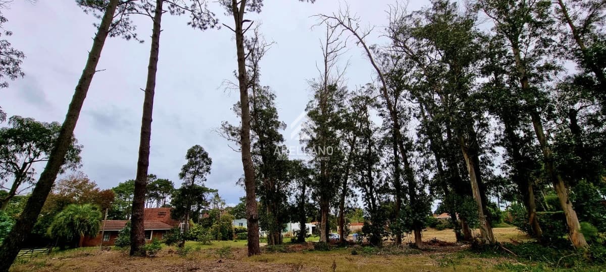 Terreno ID.3181 - Terreno en zona de Colegios 1600 m2 - Marly - Punta del Este