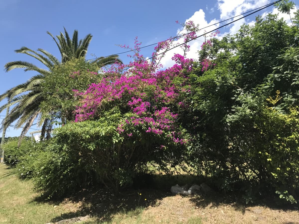 Casa ID.698 - Casa en La Barra