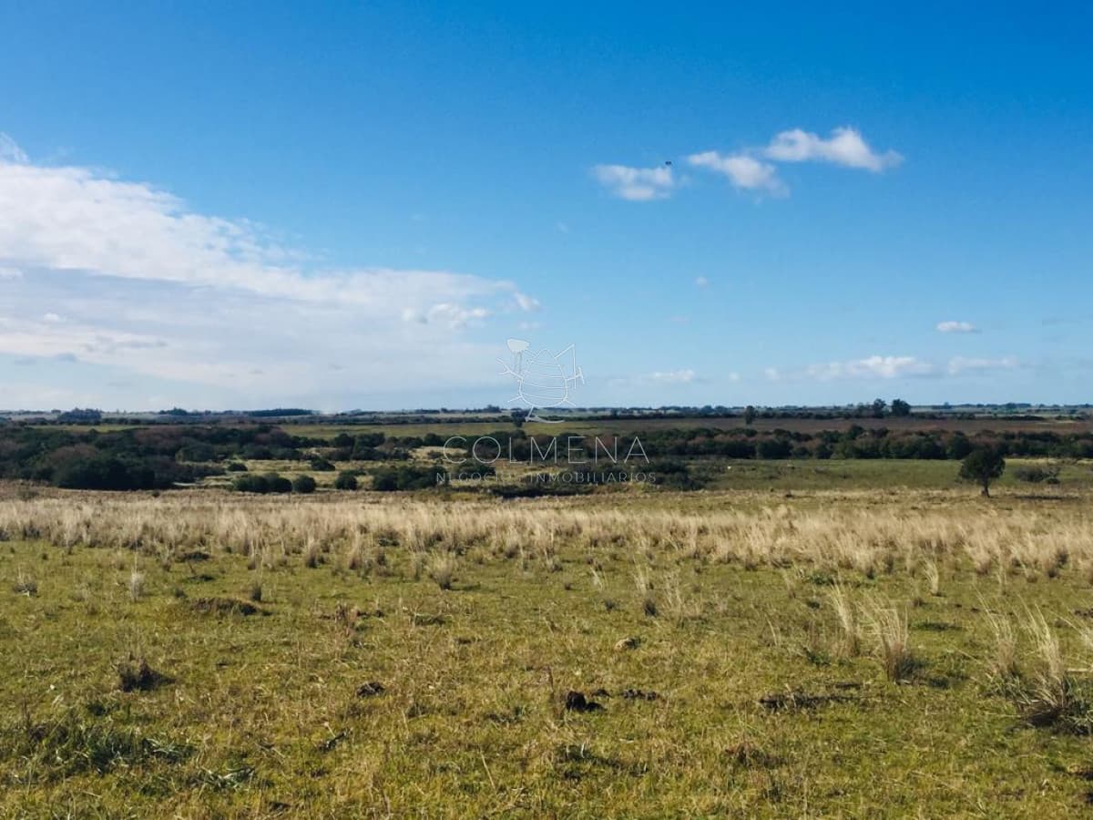 Muy linda parcela de campo sobre ruta a pocos Km de Maldonado