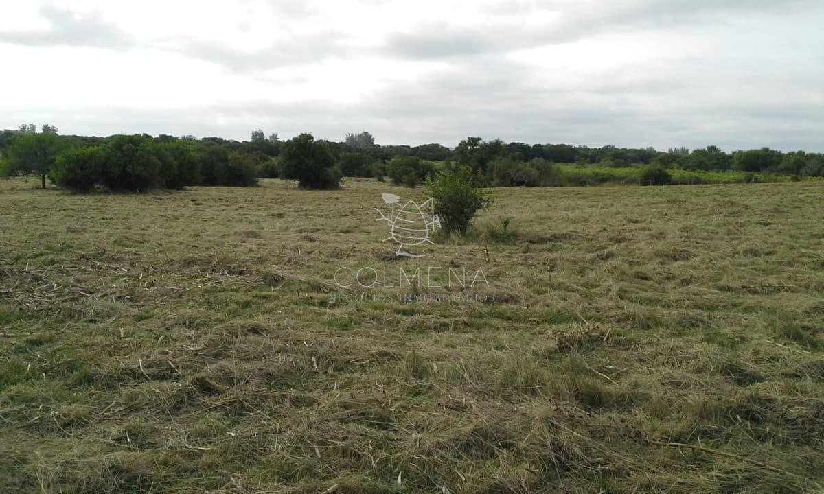 Muy linda parcela de campo sobre ruta a pocos Km de Maldonado