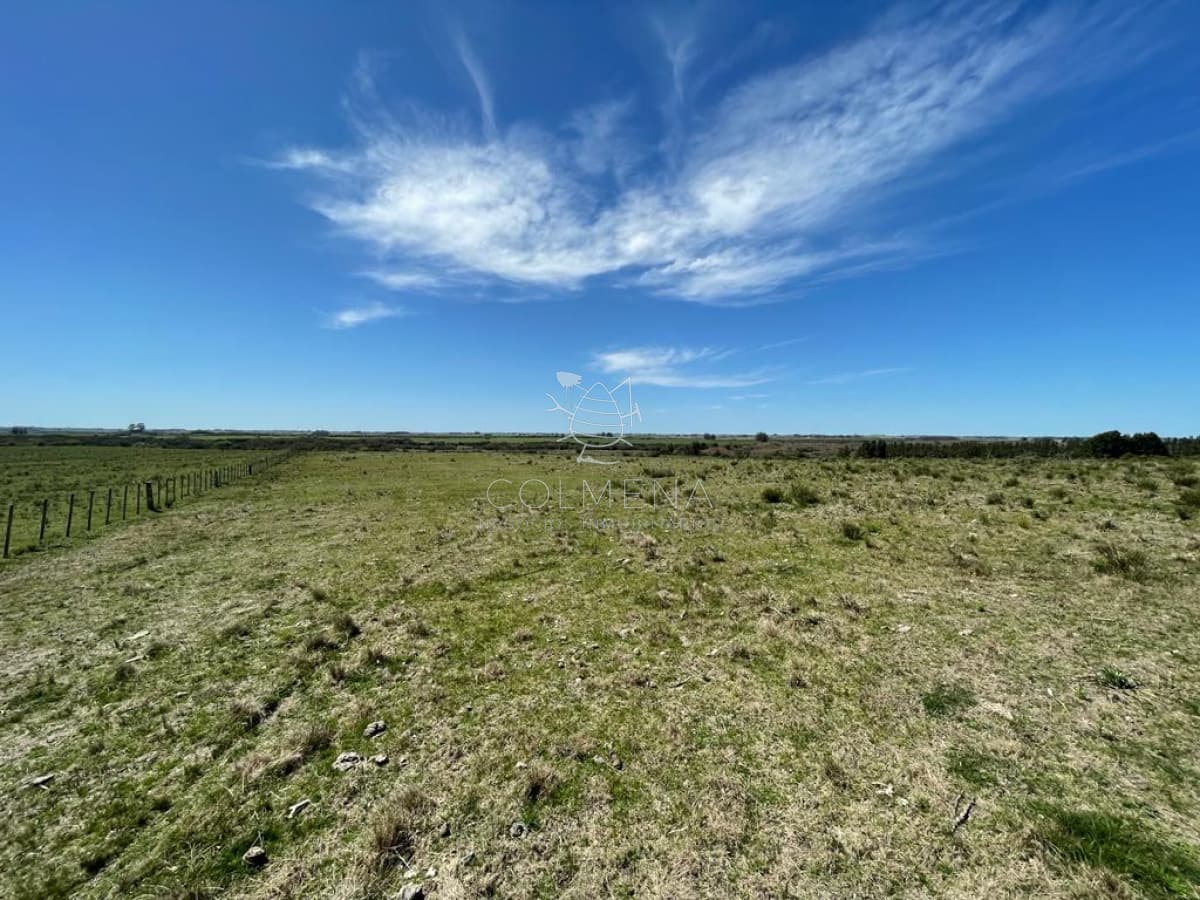 Muy linda parcela de campo sobre ruta a pocos Km de Maldonado