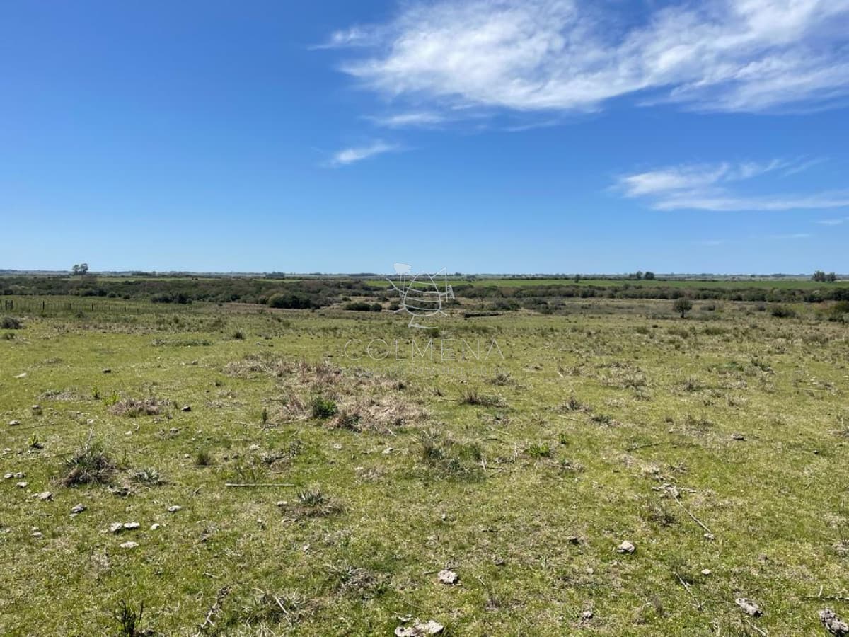 Muy linda parcela de campo sobre ruta a pocos Km de Maldonado