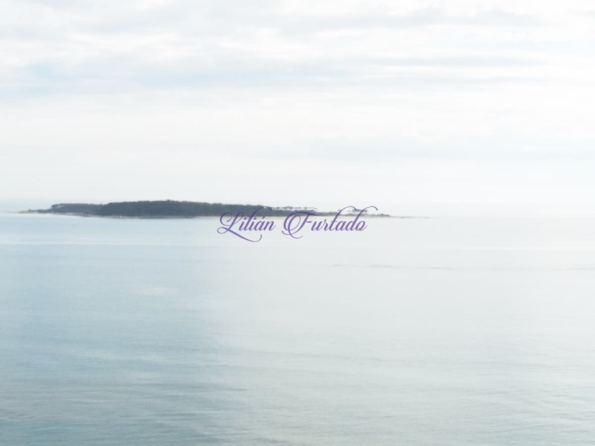 AQUARELA ALQUILER TEMPORADA ANUAL E INVERNAL--EXCELENTE APTO CON TODA LA VISTA A LA MANSA  PUNTA DEL ESTE - Lilian Furtado Negocios Inmobiliarios